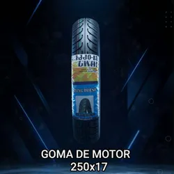 Gomas de motor