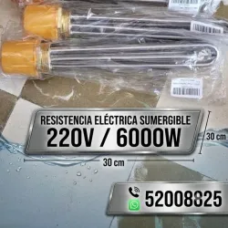 Resistencia eléctrica sumergible 220V 6000W