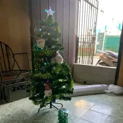 ÁRBOL DE NAVIDAD 1.20M