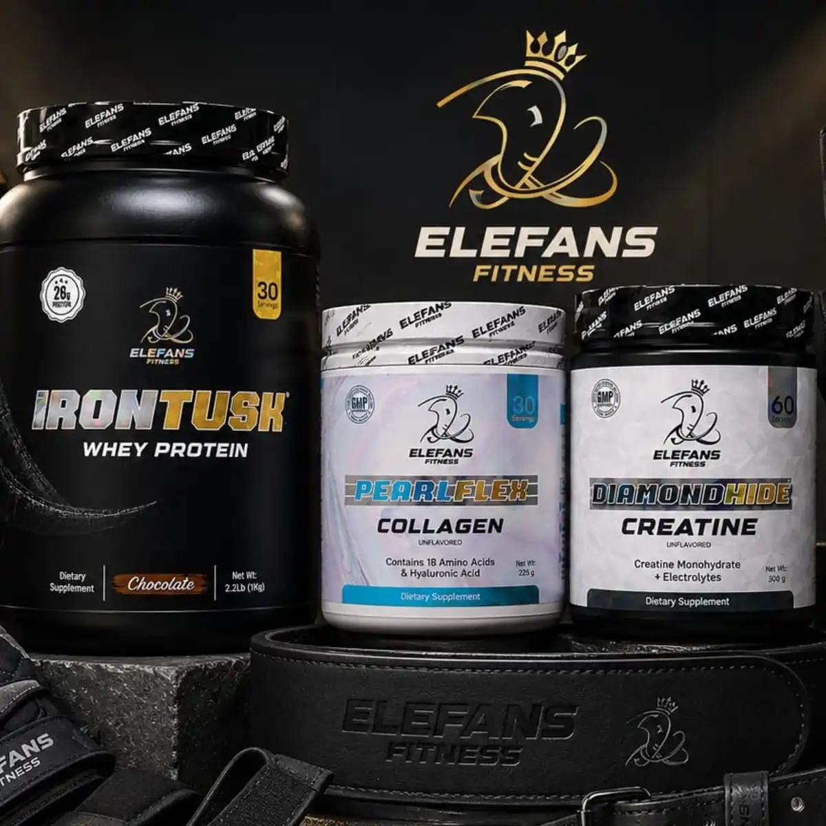 Elefans Fitness