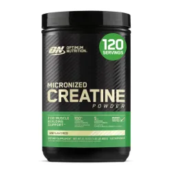 Optimum Nutrition Micronized Creatine Powder – Creatina Micronizada Pura (120 Servicios)