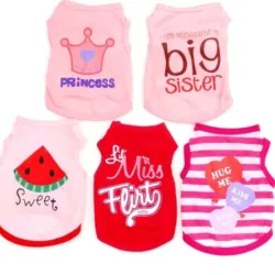 Camisetas