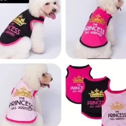 Camisetas