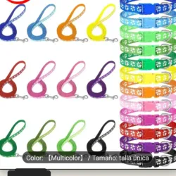 Collar Con Correa