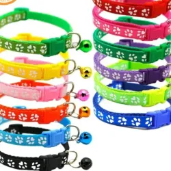 Collares con Cascabel