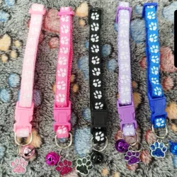 Collares con Chapita y Cascabel