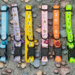 Collares para Perros Medianos