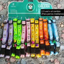 Collares para Perros Medianos