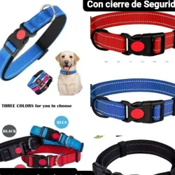 Collares para Perros Medianos