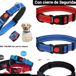 Collares XL Para Perros Grandes