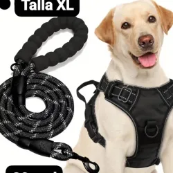 Pecheras XL para Perros Grandes