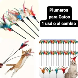 Plumeros para Gatos