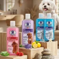 Shampoo