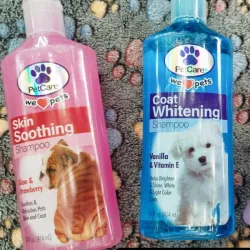 Shampoo