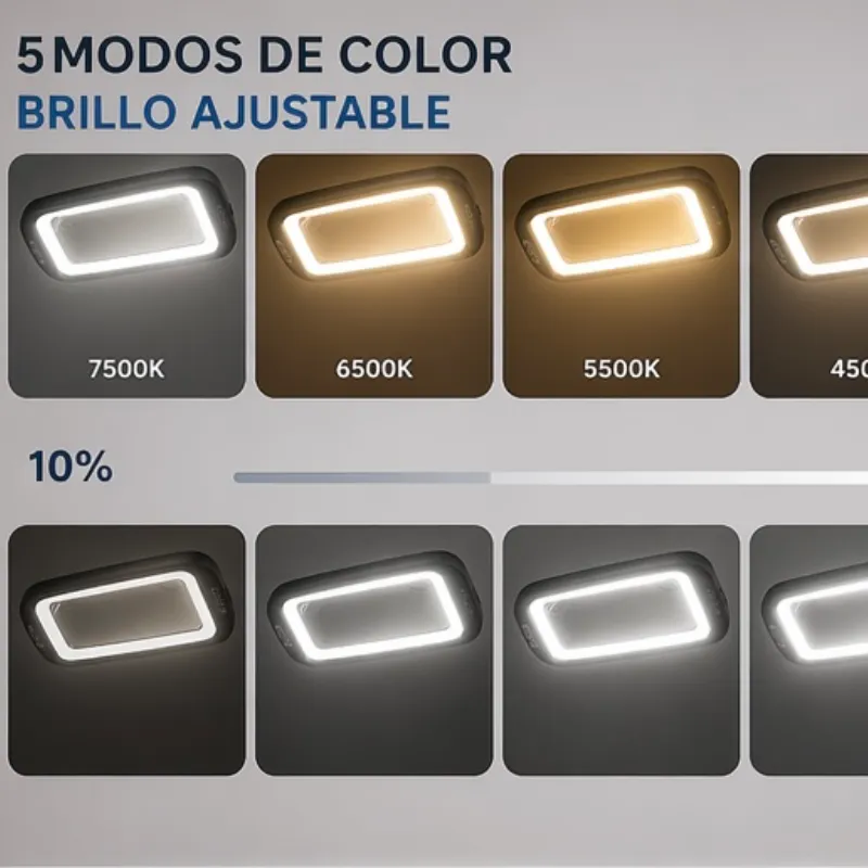 Lámpara Lupa LED Profesional ProVision Esthetic 2 en 1