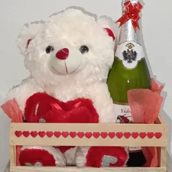 Regalo 🎁