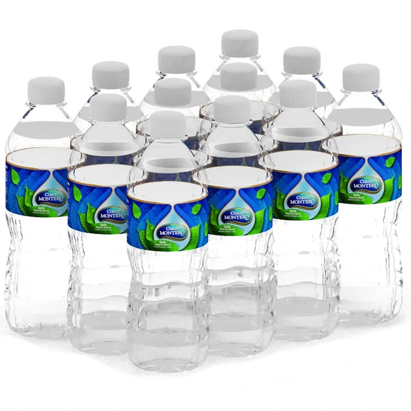 Agua Natural Ciego Montero 500ml