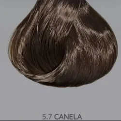 Canela