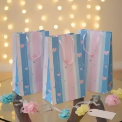 Bolsa mediana Azul y rosa a rayas