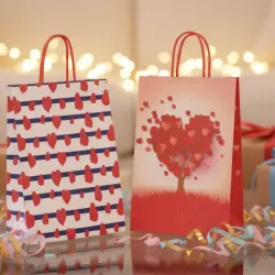 Bolsas medianas