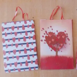 Bolsas medianas