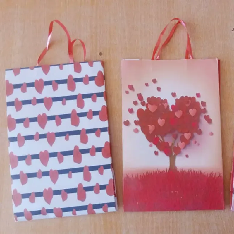 Bolsas medianas