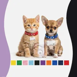 Collar de Identidad Esencial