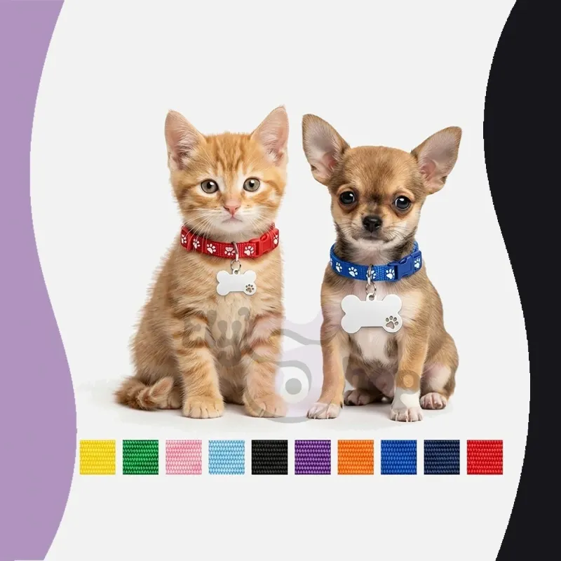 Collar de Identidad Esencial
