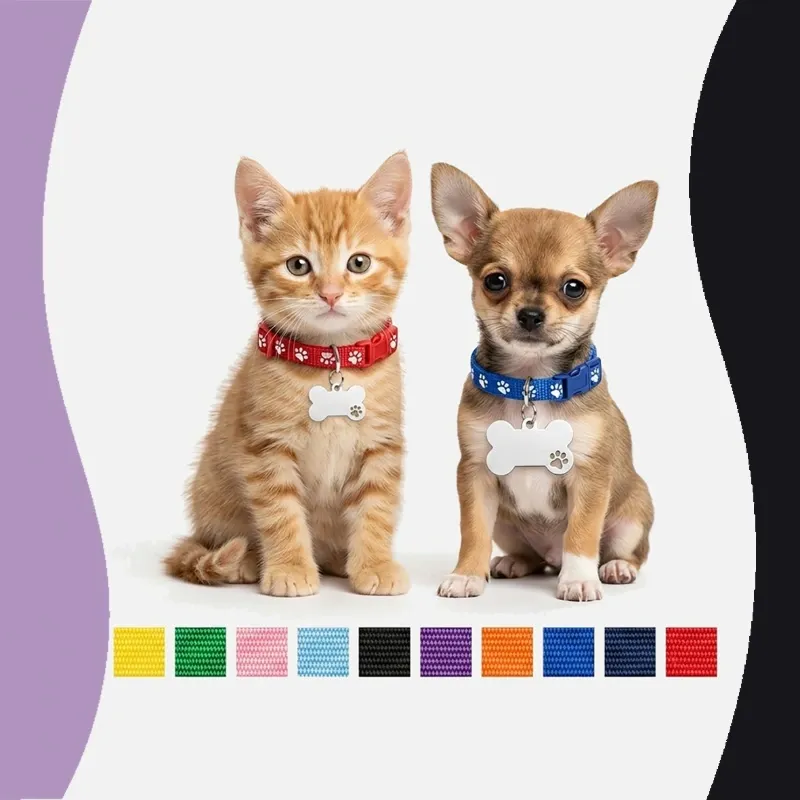 Collar de Identidad Esencial