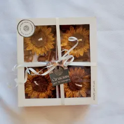 Conjunto Girasoles