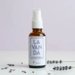 Lavanda