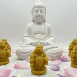 Mini buda