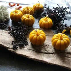 Mini calabazas