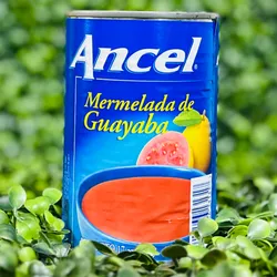 Mermelada de Guayaba Ancel 482g