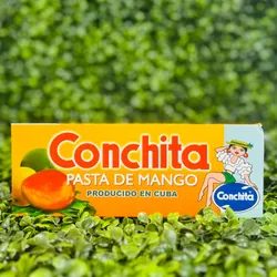 Pasta de Mango Conchita 500g