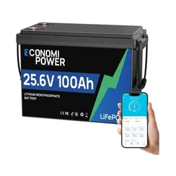 🔋 BATERIA_DE_LITIO_LIFEPO4_ECONOMI_POW 🔋