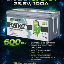 Batería LiFePO4 TBBWORTH 25.6V 100Ah (2560Wh)