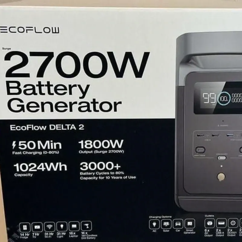EcoFlow DELTA 2