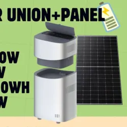 Mango Power Union más panel
