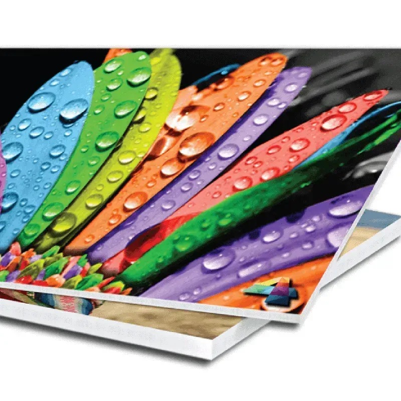 Carteles de Vinilo sobre PVC