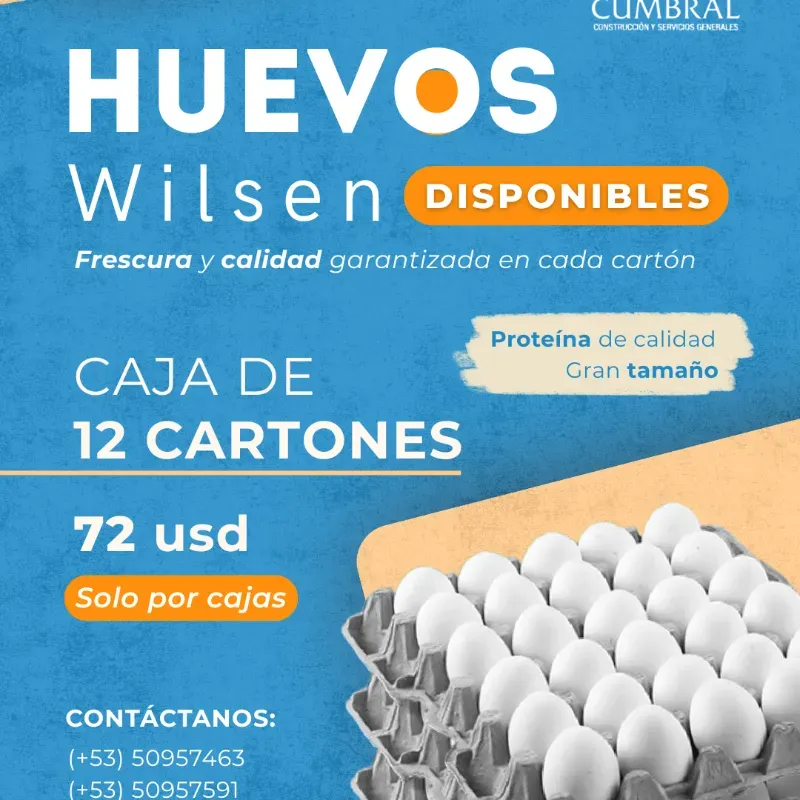 Pack Gráfico para Redes Sociales 