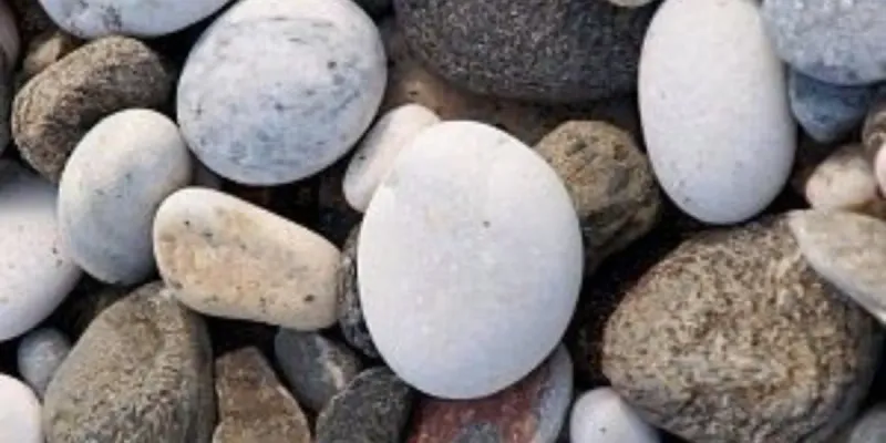 Piedra de Playa para Acuario