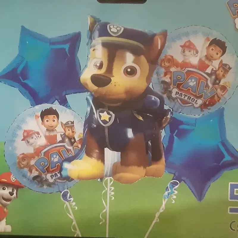  Paw Patrol 1