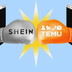 Encargos de Shein Y Temu