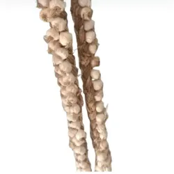 Ristra de Ajo Chileno 