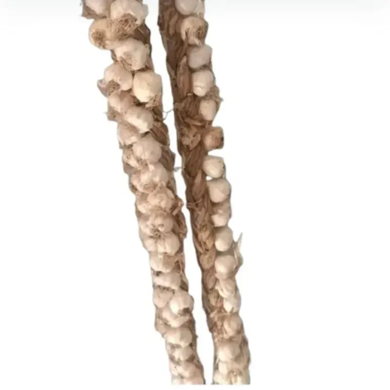 Ristra de Ajo Chileno 