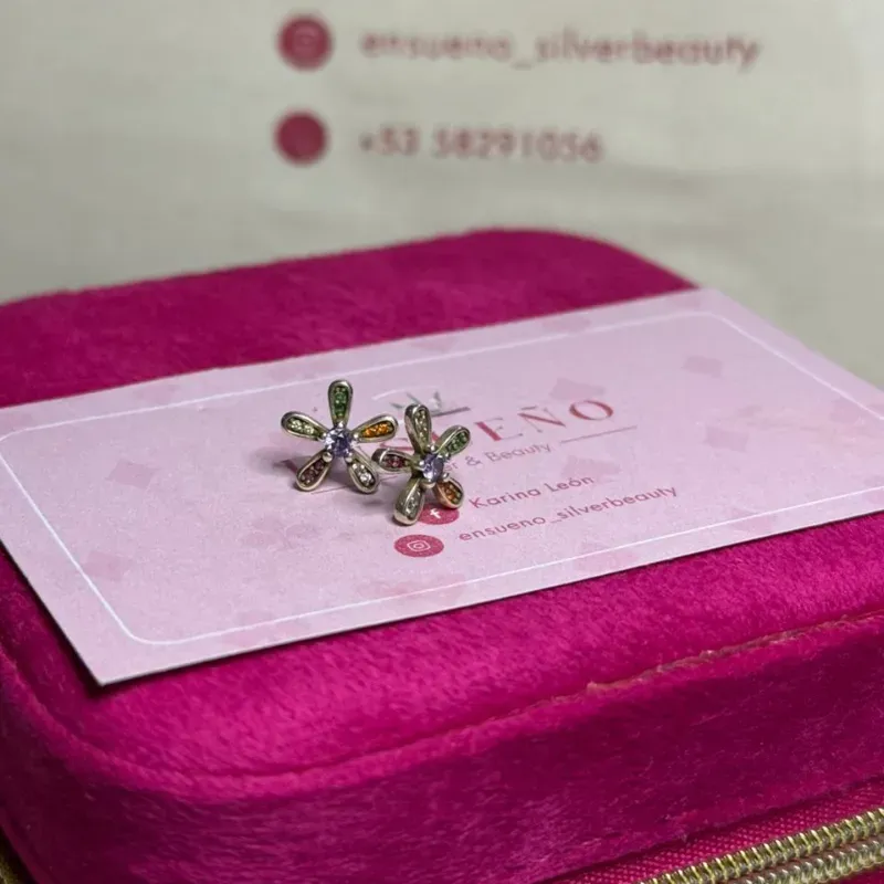 Aretes Pandora 