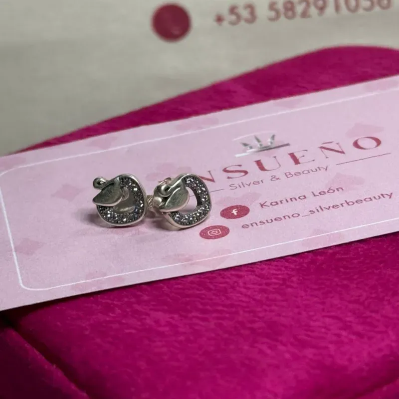 Aretes Pandora 