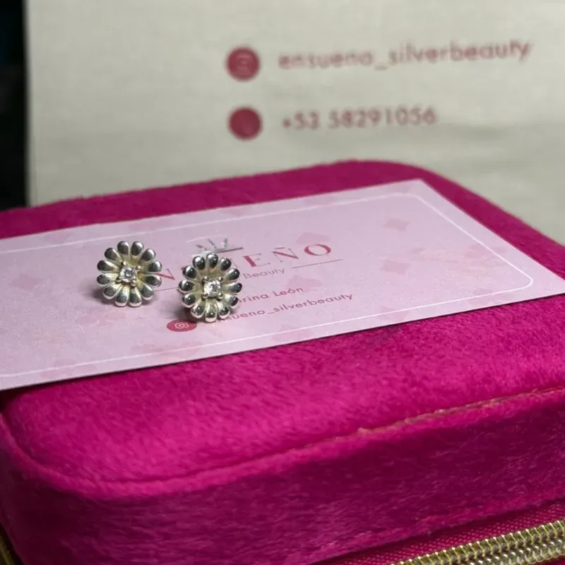 Aretes Pandora 