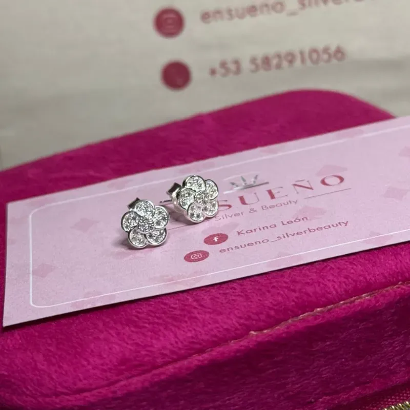 Aretes Pandora 